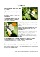 Aurorafalter-Steckbrief.pdf